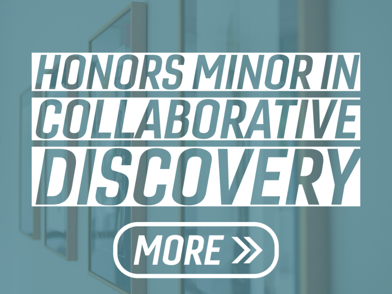 The Honors Minor in collaborative discovery
